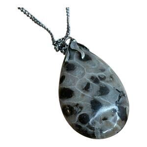Oolite Polished Teardrop Pendant Necklace on Silver Tone Chain